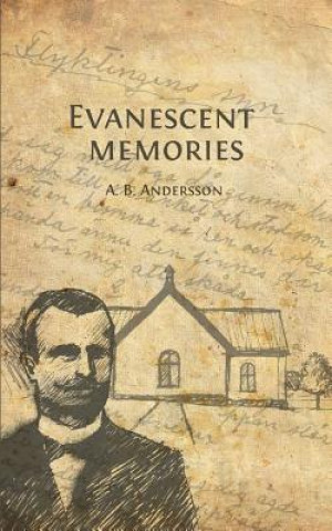 Kniha Evanescent memories August Bernhard Andersson