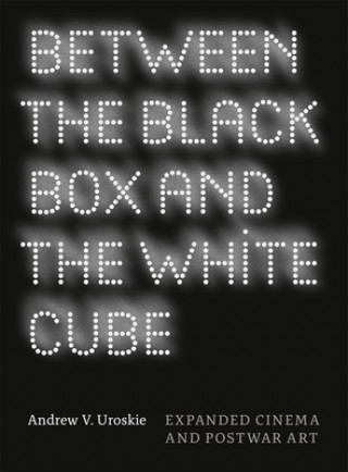 Kniha Between the Black Box and the White Cube Andrew V. Uroskie