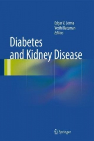 Kniha Diabetes and Kidney Disease Edgar V. Lerma