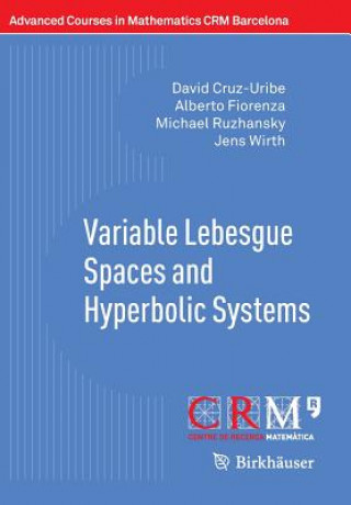 Book Variable Lebesgue Spaces and Hyperbolic Systems David V. Cruz-Uribe