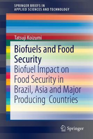 Könyv Biofuels and Food Security Tatsuji Koizumi