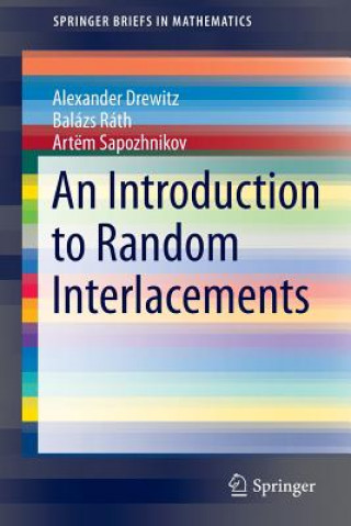 Knjiga An Introduction to Random Interlacements, 1 Alexander Drewitz