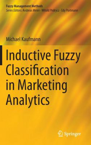 Libro Inductive Fuzzy Classification in Marketing Analytics Michael Kaufmann