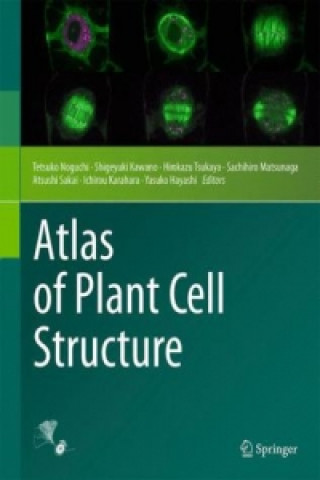 Kniha Atlas of Plant Cell Structure Tetsuko Noguchi