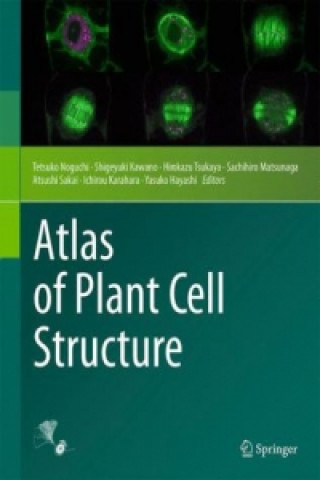 Książka Atlas of Plant Cell Structure Tetsuko Noguchi