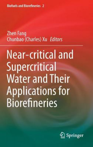 Kniha Near-critical and Supercritical Water and Their Applications for Biorefineries Zhen Fang