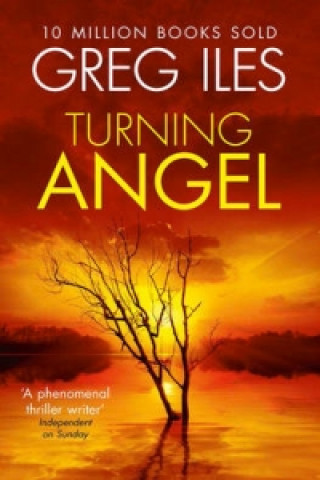 Knjiga Turning Angel Greg Iles