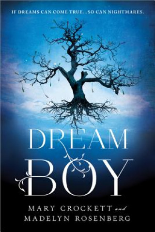 Könyv Dream Boy Madelyn Rosenberg