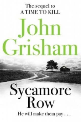 Kniha Sycamore Row John Grisham
