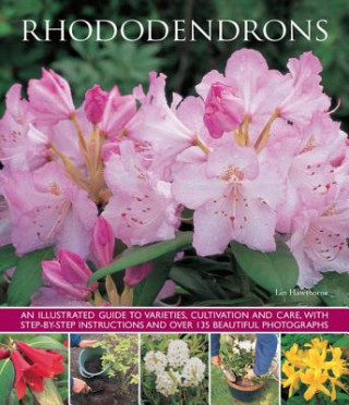 Kniha Rhododendrons Lin Hawthorne