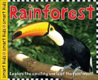 Carte Rainforest Roger Priddy