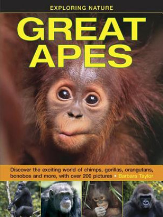 Buch Exploring Nature: Great Apes Barbara Taylor