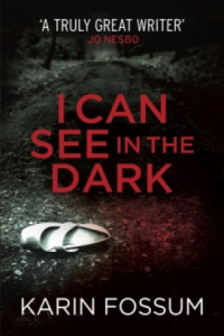 Könyv I Can See in the Dark Karin Fossum