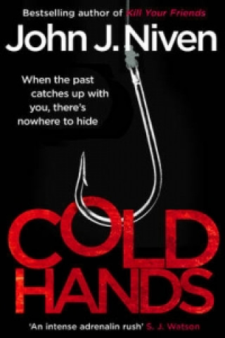 Buch Cold Hands John Niven