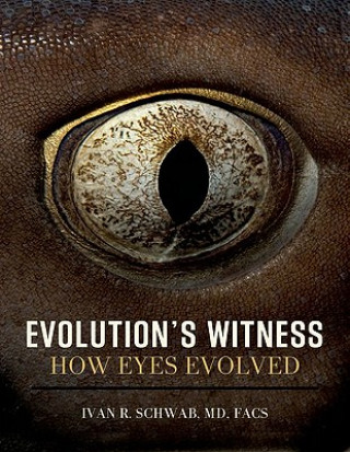Kniha Evolution's Witness Schwab
