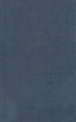 Carte Homer Vol. II. Iliad (Books XIII-XXIV) D. B. Monro
