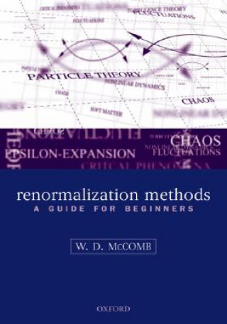 Könyv Renormalization Methods McComb