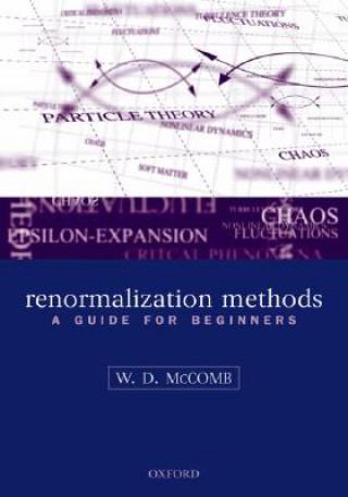 Książka Renormalization Methods McComb