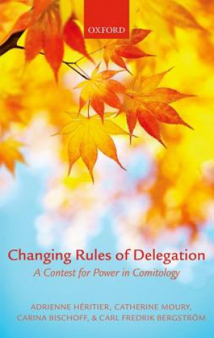 Kniha Changing Rules of Delegation Adrienne Heritier