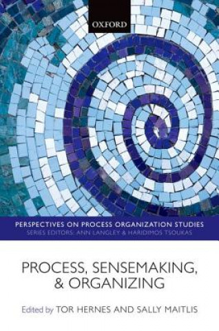 Kniha Process, Sensemaking, and Organizing Tor Hernes