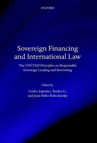 Buch Sovereign Financing and International Law Carlos D Esposito