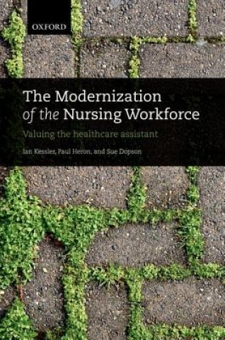 Kniha Modernization of the Nursing Workforce Kessler