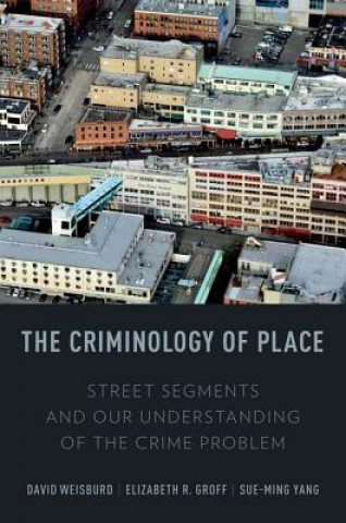 Kniha Criminology of Place David Lee Weisburd