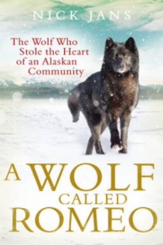 Könyv Wolf Called Romeo Nick Jans