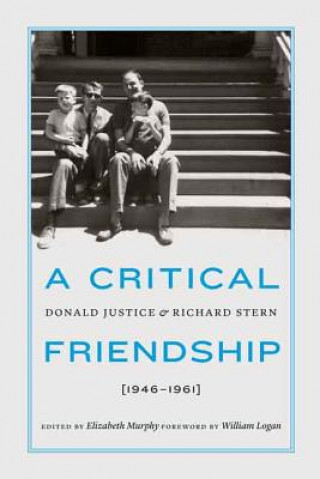 Buch Critical Friendship Elizabeth Murphy