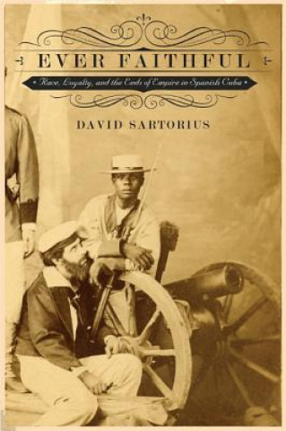 Buch Ever Faithful David Sartorius