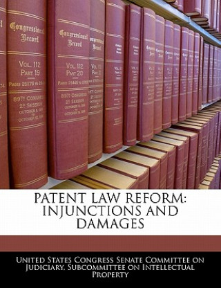 Könyv Patent Law Reform: Injunctions And Damages 