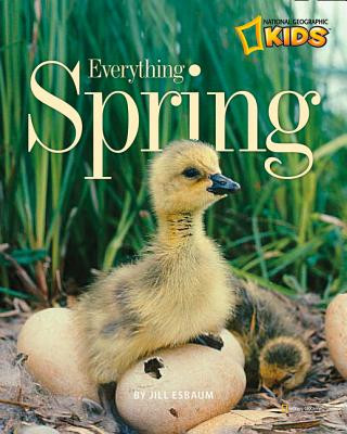 Könyv Everything Spring Jill Esbaum