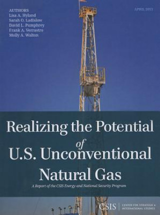 Книга Realizing the Potential of U.S. Unconventional Natural Gas Lisa A Hyland