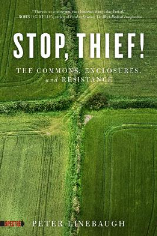 Kniha Stop, Thief! Peter Linebaugh