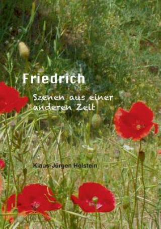 Libro Friedrich Klaus-Jürgen Holstein