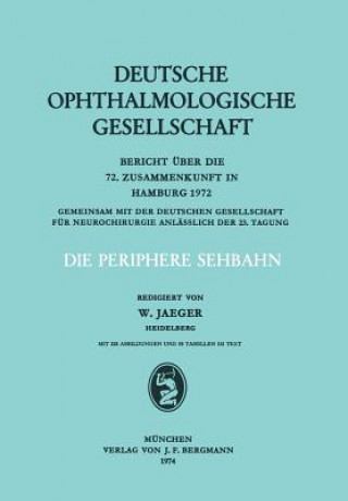 Könyv Die Periphere Sehbahn W. Jaeger