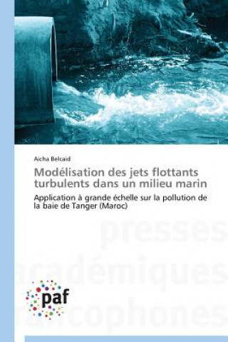 Kniha Modelisation Des Jets Flottants Turbulents Dans Un Milieu Marin Aicha Belcaid