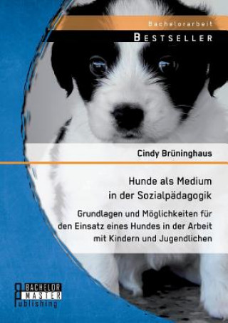Carte Hunde als Medium in der Sozialpadagogik Cindy Brüninghaus