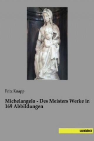 Kniha Michelangelo - Des Meisters Werke in 169 Abbildungen Fritz Knapp