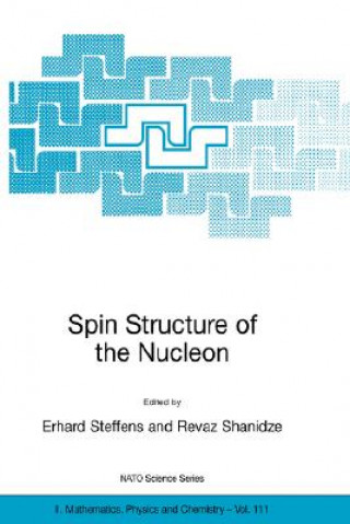 Kniha Spin Structure of the Nucleon Erhard Steffens