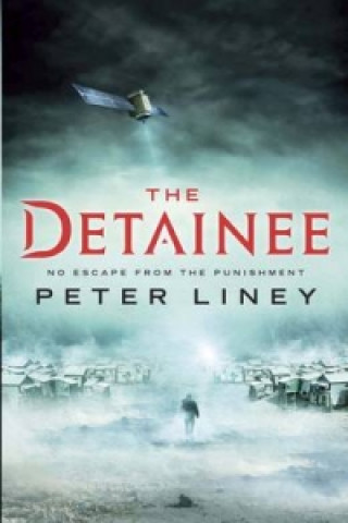 Kniha Detainee Peter Liney