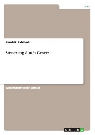 Libro Steuerung durch Gesetz Hendrik Kahlbach