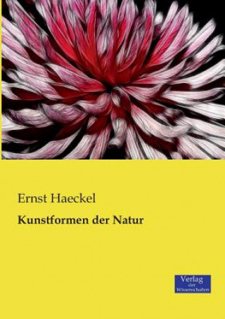 Carte Kunstformen der Natur Ernst Haeckel
