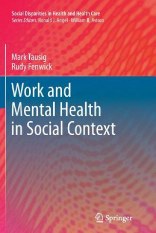 Kniha Work and Mental Health in Social Context Mark Tausig