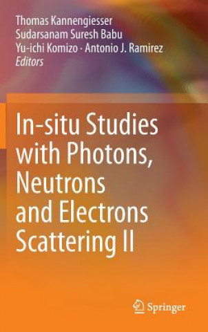 Kniha In-situ Studies with Photons, Neutrons and Electrons Scattering II Thomas Kannengiesser