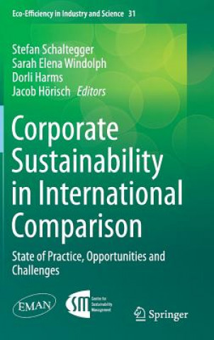 Książka Corporate Sustainability in International Comparison Stefan Schaltegger