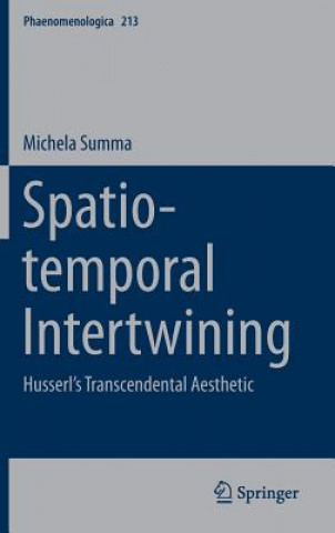 Kniha Spatio-temporal Intertwining Michela Summa