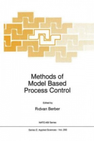 Kniha Methods of Model Based Process Control R. Berber