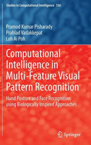 Livre Computational Intelligence in Multi-Feature Visual Pattern Recognition Pramod Kumar Pisharady