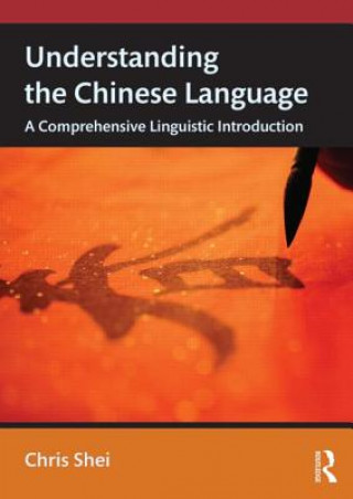 Kniha Understanding the Chinese Language Chris Shei